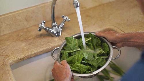Rinsing greens in a colander with tap water from the kitchen sink